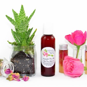 JBHomemade’s 2 oz Radiant Rose Glow: rose-infused aloe vera paired with an aloe plant. Glass jar filled with aloe and pink rose petals.