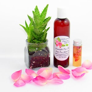 JBHomemade’s 8 oz Radiant Rose Glow: rose-infused aloe vera paired with an aloe plant. Glass jar filled with aloe and pink rose petals.