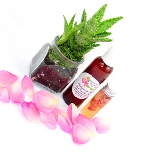 JBHomemade’s 2 oz Radiant Rose Glow: rose-infused aloe vera paired with an aloe plant. Glass jar filled with aloe and pink rose petals.