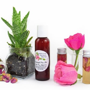 JBHomemade’s 2 oz Radiant Rose Glow: rose-infused aloe vera paired with an aloe plant. Glass jar filled with aloe and pink rose petals.