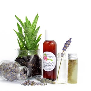 Soothing Lavender Aloe Vera | Handmade Skincare | Calming & Hydrating | All-Natural Moisturizer for Sensitive Skin | Chemical-Free 2 oz