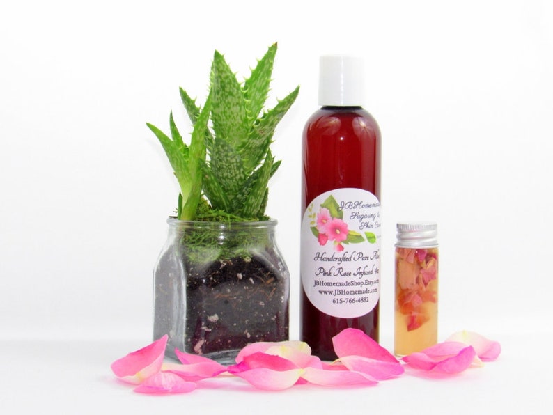 JBHomemade’s 8 oz Radiant Rose Glow: rose-infused aloe vera paired with an aloe plant. Glass jar filled with aloe and pink rose petals.