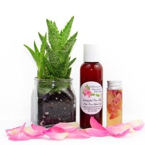 JBHomemade’s 2 oz Radiant Rose Glow: rose-infused aloe vera paired with an aloe plant. Glass jar filled with aloe and pink rose petals.