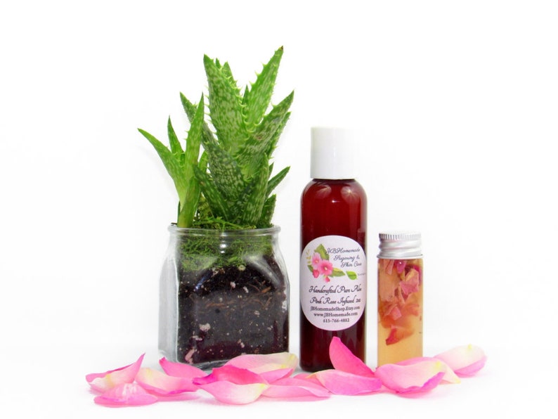 JBHomemade’s 2 oz Radiant Rose Glow: rose-infused aloe vera paired with an aloe plant. Glass jar filled with aloe and pink rose petals.