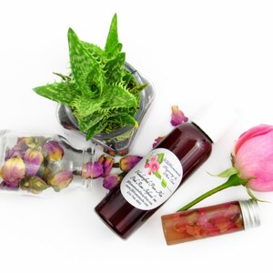 JBHomemade’s 2 oz Radiant Rose Glow: rose-infused aloe vera paired with an aloe plant. Glass jar filled with aloe and pink rose petals.