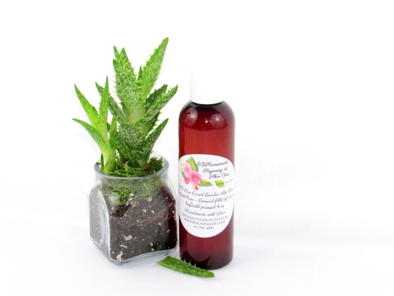 A 4 oz amber bottle of Pure Aloe Vera product, enriched and authentic, surrounded by fresh aloe vera leaf pieces, showcasing the natural ingredients and the premium quality of the product.