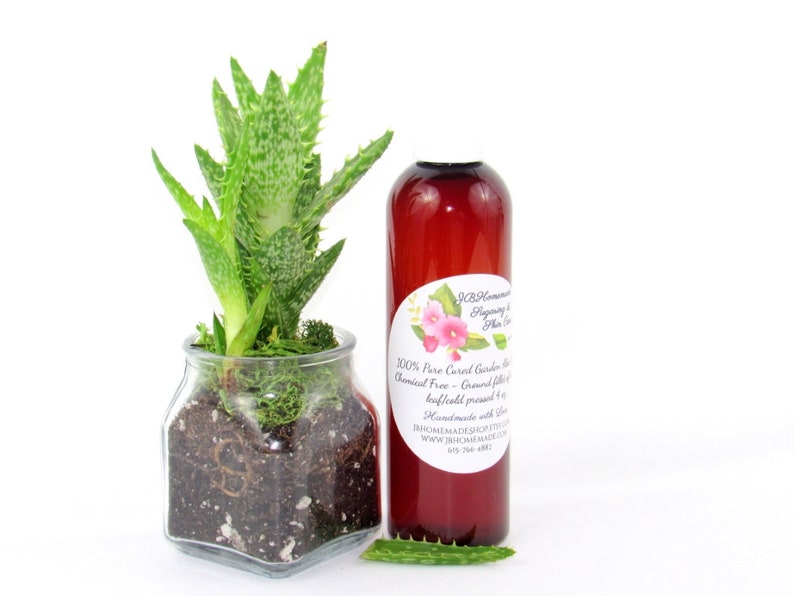 A 4 oz amber bottle of Pure Aloe Vera product, enriched and authentic, surrounded by fresh aloe vera leaf pieces, showcasing the natural ingredients and the premium quality of the product.