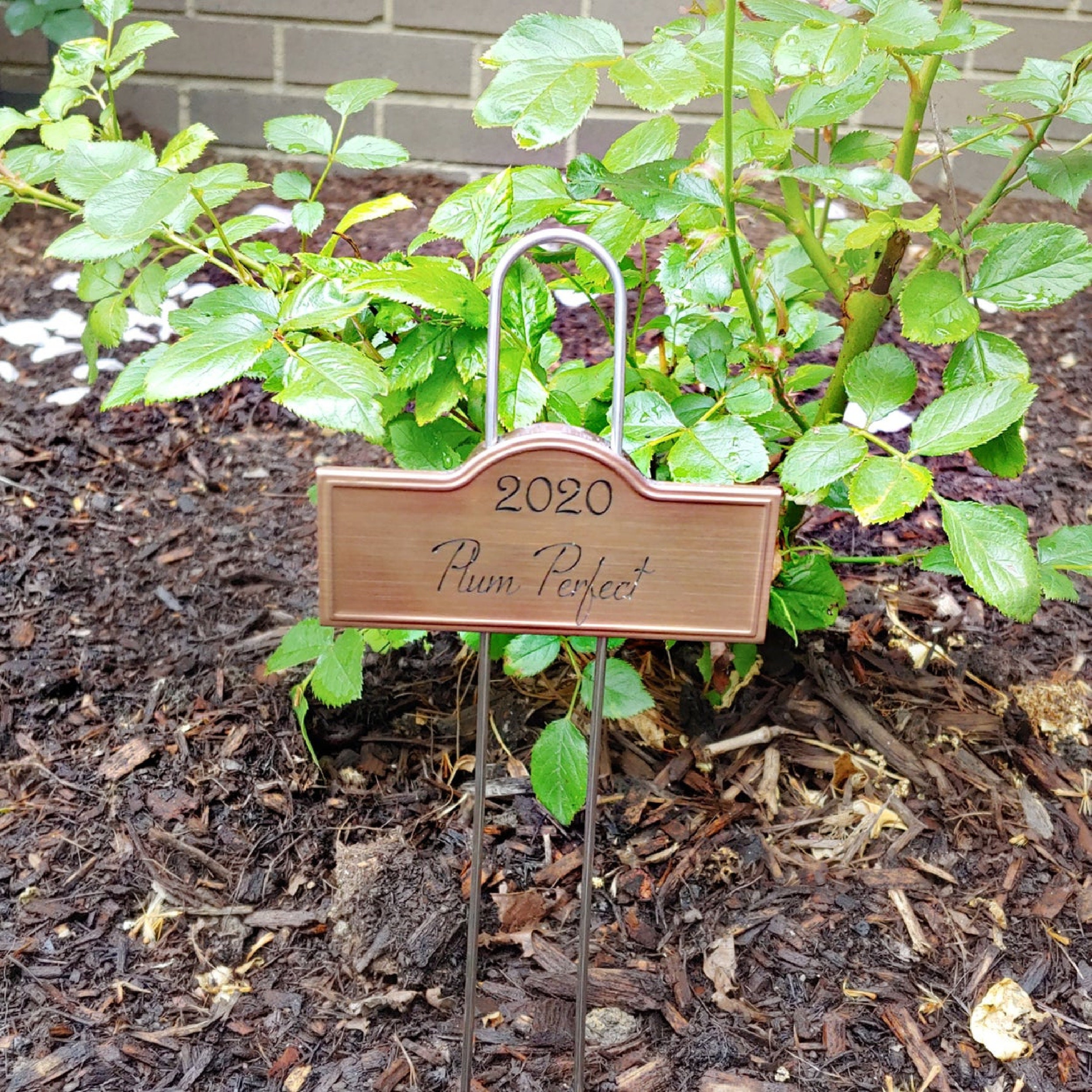 Custom Copper Laser Engraved Plant Markers Rose Stakes Garden Etsy