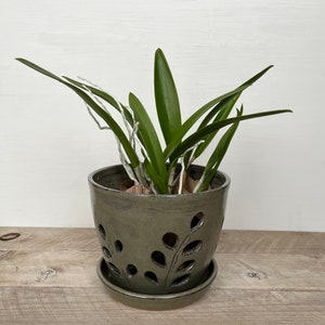 ceramic orchid planter with tray image 1