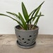 see more listings in the planters section