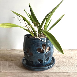 Peut inclure: Un pot à orchidée en céramique bleu foncé avec une finition brillante et des motifs de feuilles découpés, accompagné d'une soucoupe circulaire assortie. Une orchidée verte aux feuilles longues et fines est plantée dans le contenant.