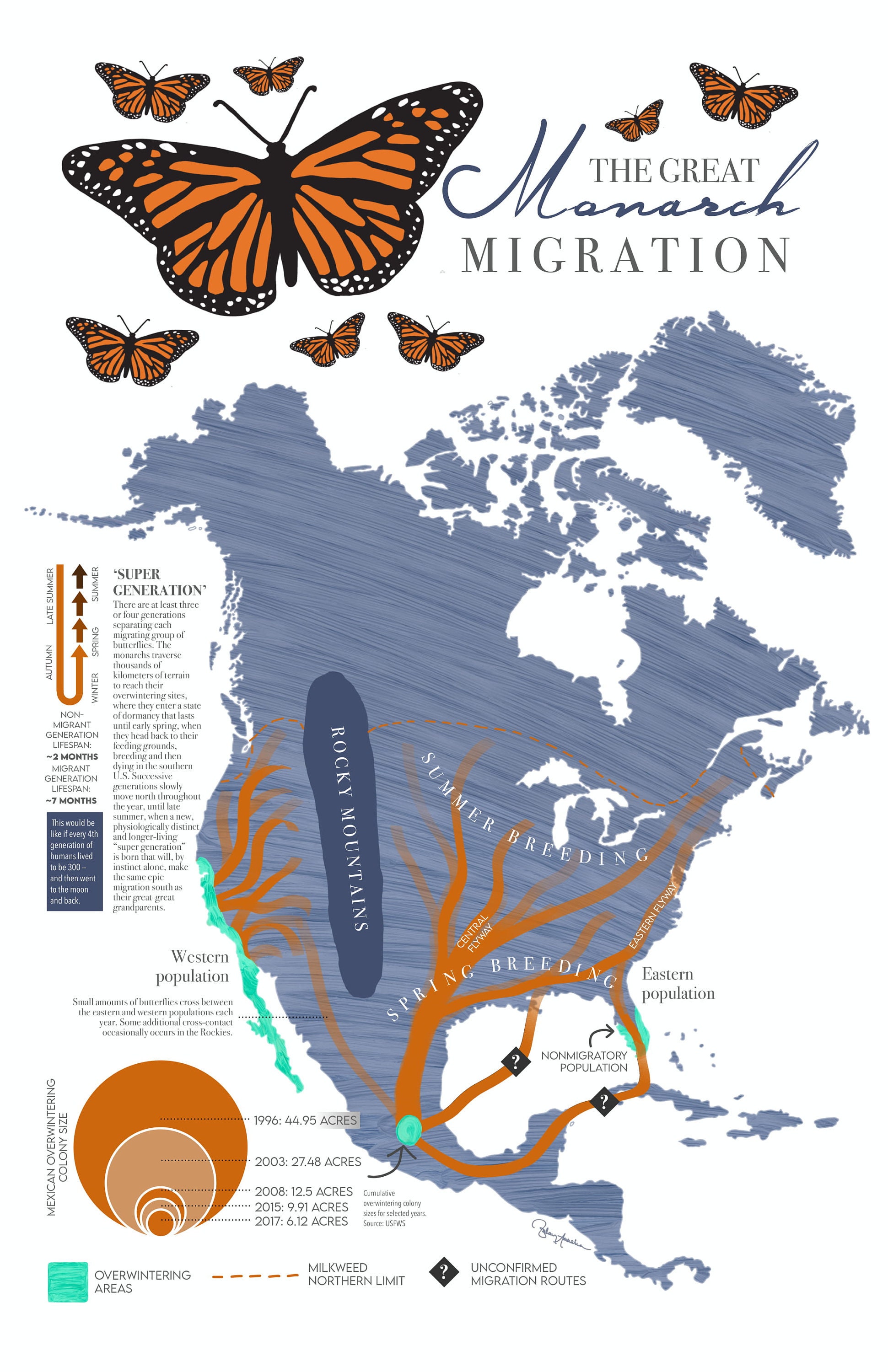 monarch butterfly migration map for kids