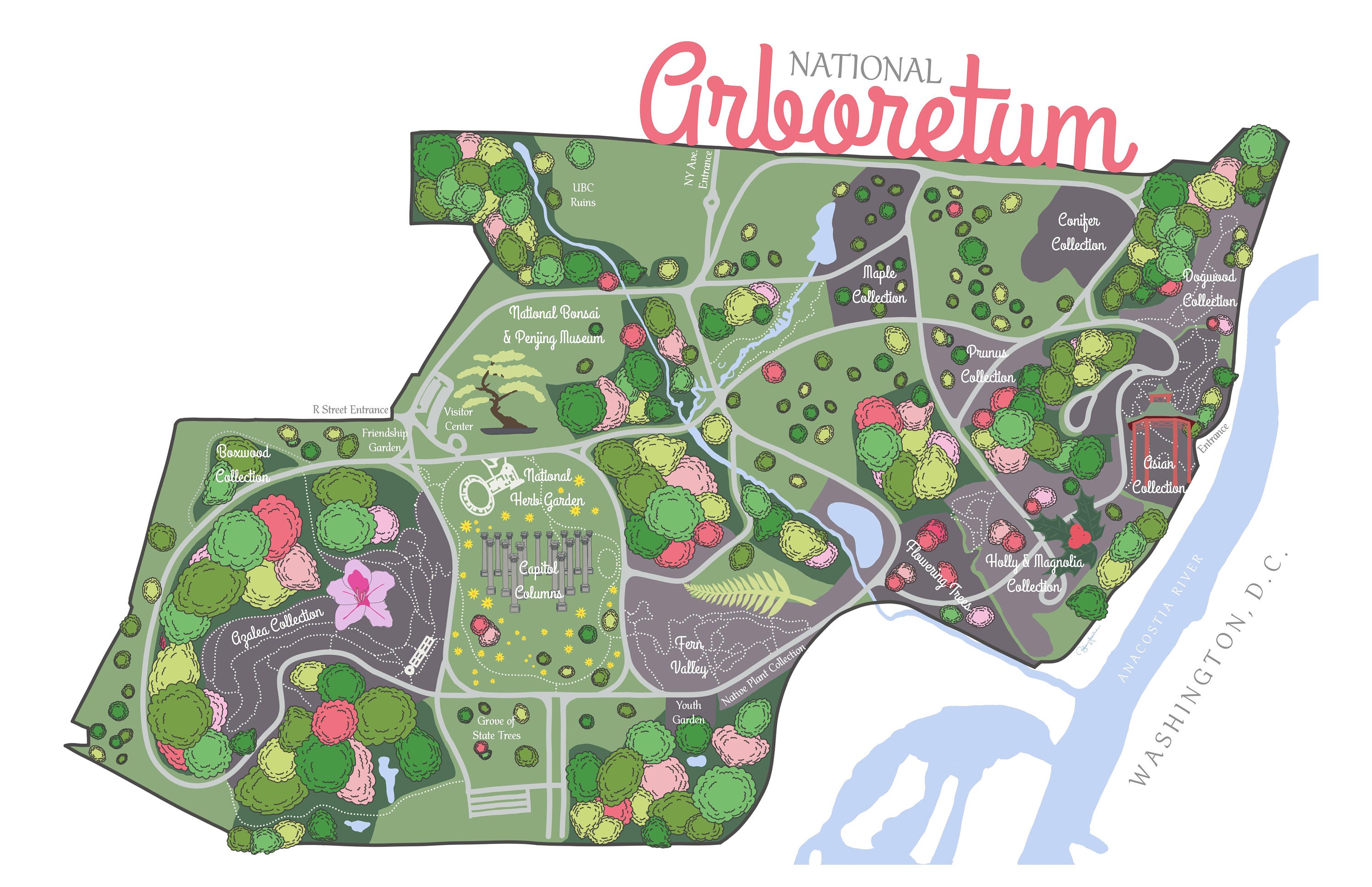 Map Of National Arboretum Dc National Arboretum Decorative Map Print Washington D.c. Parks | Etsy