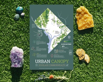 Urban Canopy Map: A map of DC urban forest 11x17 or 24x36