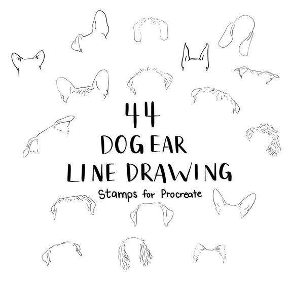 44 Dog Breed Line Drawing Clip Art And Stamps For Procreate Etsy