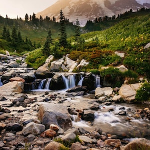 Photograph Fine Art Print of Paradise, Mount Rainier National Park, Washington, Landscape Photography, Photographic Print