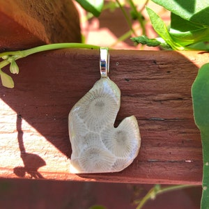 Michigan Lower Peninsula Petoskey Stone Pendant