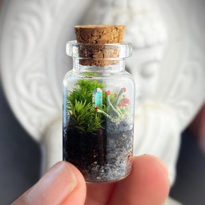 Miniature Terrarium // Micro Crystal Point Lichen Moss Garden // Mini British Soldier Lichen ~ Aura Quartz Crystal Garden