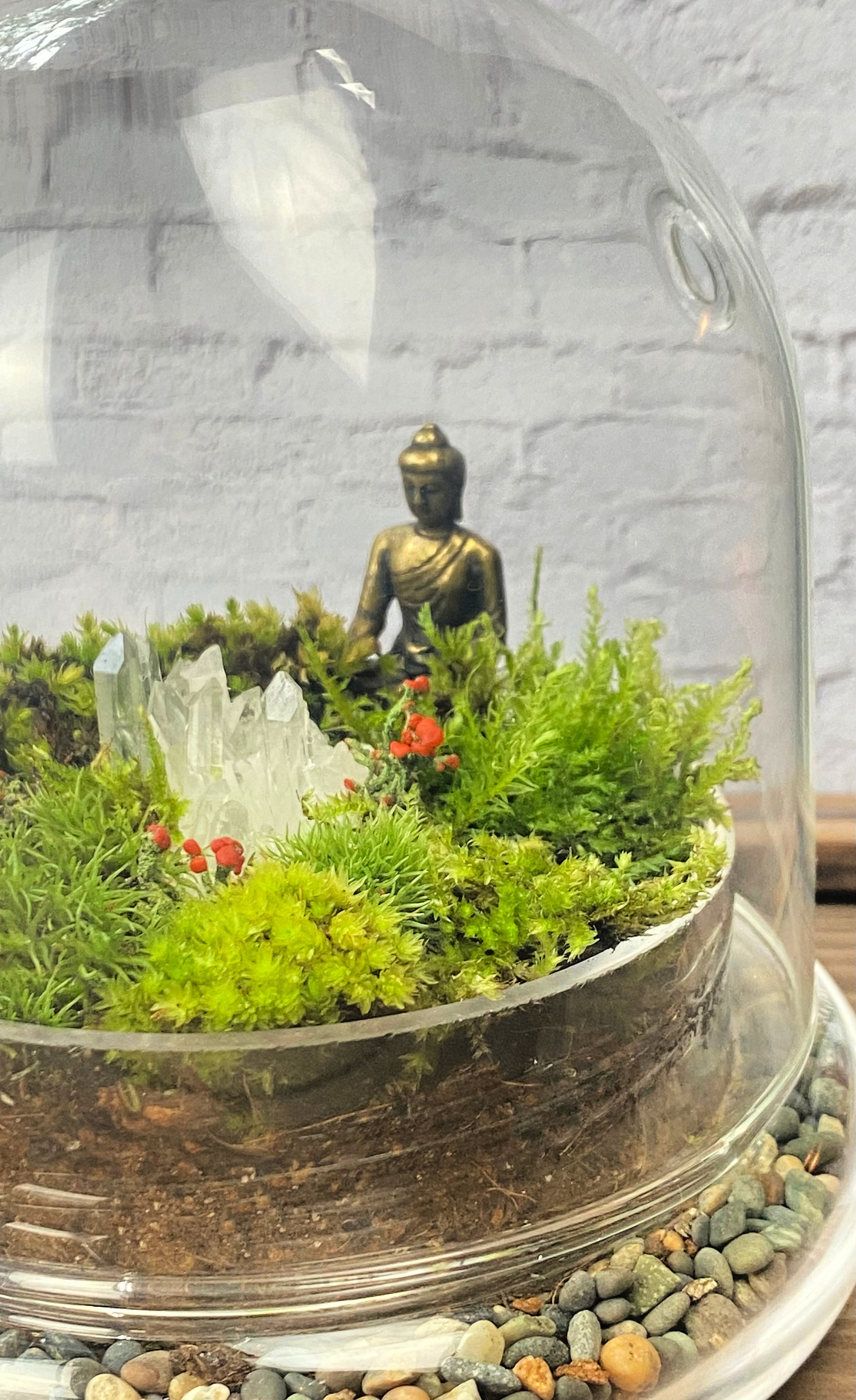 Mini Terrarium With LIVE Moss, Mushrooms and Gemstone 