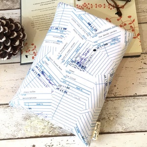 Boekenetui bibliotheekpas, nieuwigheid boekhoes, Fun Book Buddy, bedrukte boekentas, gewatteerde boekomslag, eigenzinnige beschermer met harde kaft, liefdesboeken