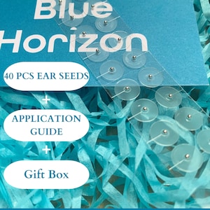Kit di 40 semi auricolari per agopressione placcati in argento + scatola regalo + guida all'applicazione / Regali per la cassetta della posta / Guarigione olistica / Salute e benessere