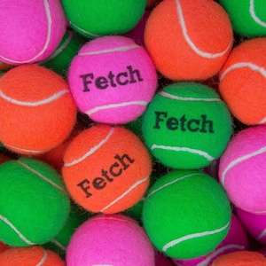 Fetch Printed Quality Dog Toy Tennis Balls