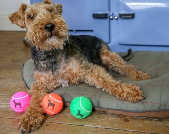 Bolas de tênis de alta qualidade para brinquedos de cachorro com estampa de terrier.