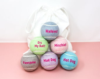 Fun Message Dog Balls in a Gift Bag