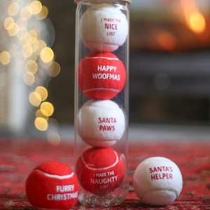 Weihnachtliche Nachhaltige Hundebälle