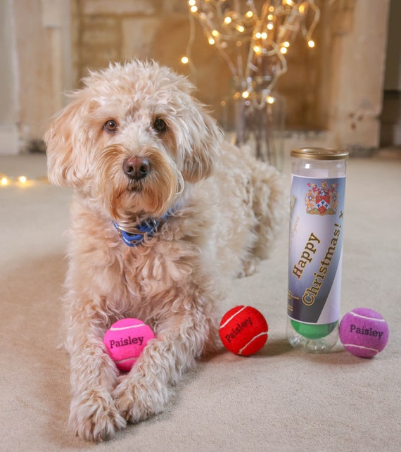 50 INDOOR USED TENNIS BALLS-GIFT FOR YOUR DOG DOGS LUV THEM WOW 