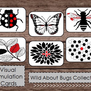Zwart Wit Rood Hoog Contrast Baby Flash Cards - Montessori Waldorf Geïnspireerde Kunst Visuele Stimulatie - Butterfly Bee Bugs + Natuur - DIGITAAL