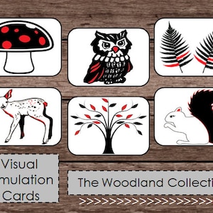 Black White Red High Contrast Baby Flash Cards - Montessori Waldorf Inspired Art Visual Stimulation - Woodland Animals and Nature - DIGITAL