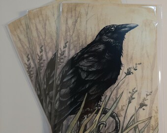 Raven greeting cards pack of 3