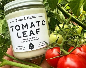 Tomato Leaf Soy Wax Candle