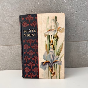 Oeuvres poétiques vintage de la fin des années 1800 de Sir Walter SCOTT avec la vie par William Chambers, L.L.D, Hurst & Company, Scott's Poems, couverture rigide rare