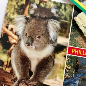 Vintage AUSTRALIA & NEW ZEALAND Postcards, Pack of 14 Random Unused '60s and '70s Australia and New Zealand Travel Souvenir Postcards