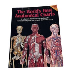 LIVRE DE CARTES ANATOMIQUES vintage, 37 images/illustrations d'anatomie pleine page en couleur, cartes d'anatomie de qualité faculté de médecine, 3e édition