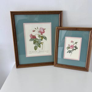 Vintage FRAMED ROSE PRINTS, Your Choice, Vintage Pierre-Joseph Redoute French Rose Print, Rosa Reclinata, Floral Botanical Print, Rose Art