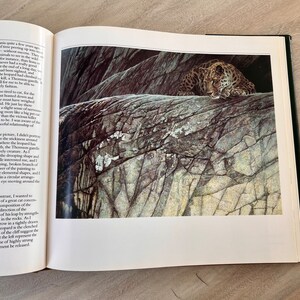 May include: A close-up of a leopard lying on a rocky outcropping. The leopard's fur is a mix of brown, black, and white, and its eyes are closed. The rock is a light gray color and has a rough, textured surface.