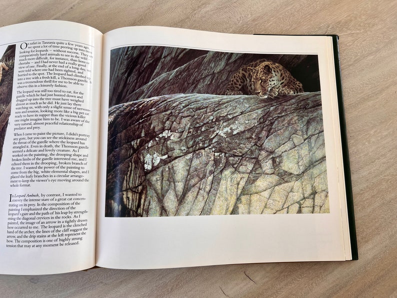 May include: A close-up of a leopard lying on a rocky outcropping. The leopard's fur is a mix of brown, black, and white, and its eyes are closed. The rock is a light gray color and has a rough, textured surface.