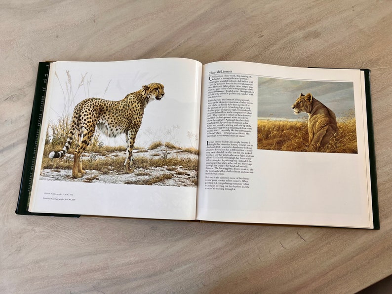 May include: An open book with two illustrations of wild cats. The left page shows a cheetah standing in a grassy field. The right page shows a lion sitting in tall grass. The text on the page reads "Cheetah Lozenge".