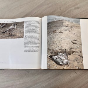May include: An open book with a photograph of a dead seagull on a sandy beach. The book is titled "Laughing Gull and  Bonaparte's Gull Dead Gull".