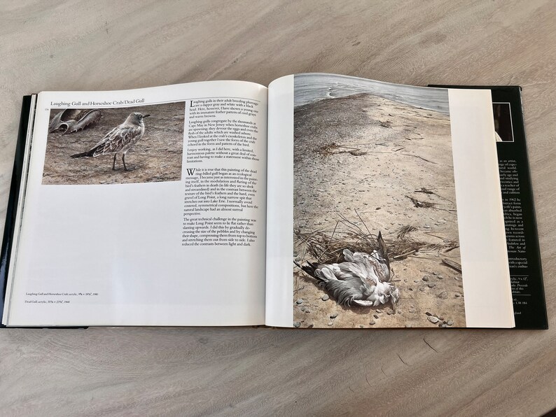 May include: An open book with a photograph of a dead seagull on a sandy beach. The book is titled "Laughing Gull and  Bonaparte's Gull Dead Gull".