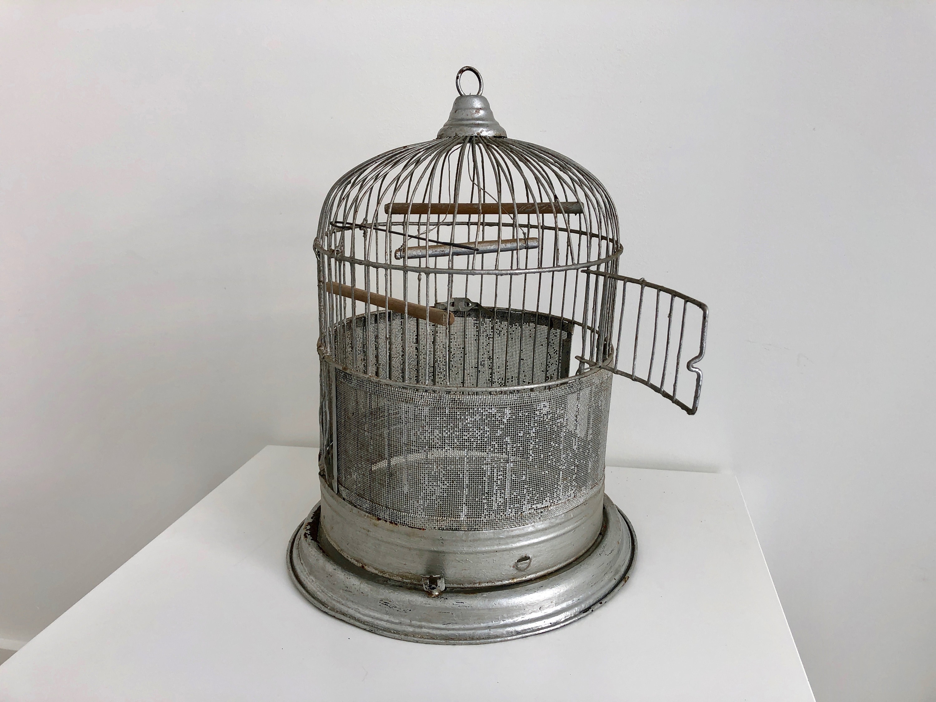 Vintage 1900s VICTORIAN BIRD CAGE, Silver Tone Dome Style Metal Screen Bird  Cage, Shabby Chic Bird Cage, Shabby Barn Wedding Decor, Prop
