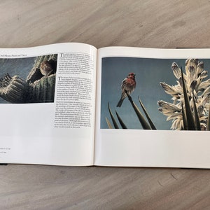 May include: An open book with a colorful illustration of a bird perched on a plant with white flowers. The text on the page reads "Elf Owl, House Finch and Yucca".