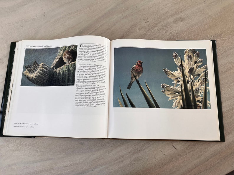 May include: An open book with a colorful illustration of a bird perched on a plant with white flowers. The text on the page reads "Elf Owl, House Finch and Yucca".