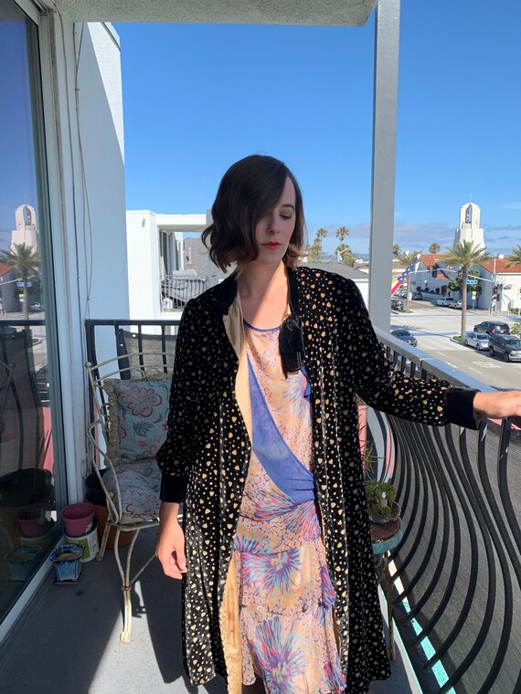 1920s Sheer Floral Silk Chiffon Flapper Dress + Sl