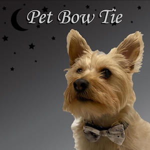 May include: A tan dog wearing a white and gray patterned bow tie. The image has the text "Pet Bow Tie" in white script with a crescent moon and stars in the background.