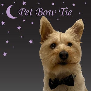 May include: A tan dog wearing a black bow tie with a celestial design. The words "Pet Bow Tie" are in a cursive font above the dog. The background is dark gray with purple stars and a crescent moon.