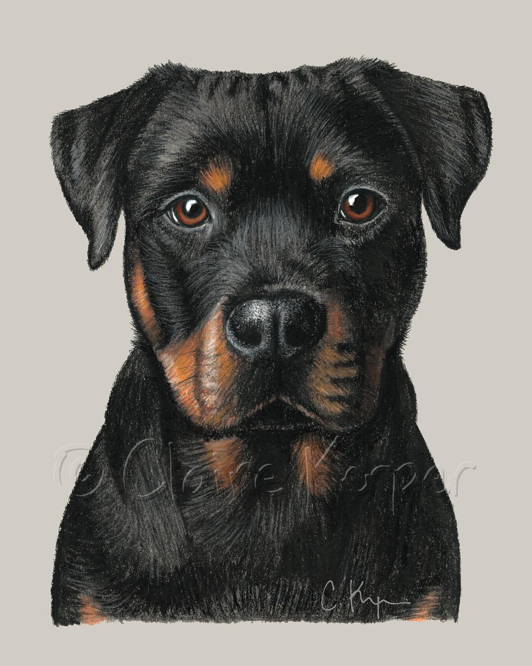 Rottweiler - Charcoal Drawing Print - Etsy